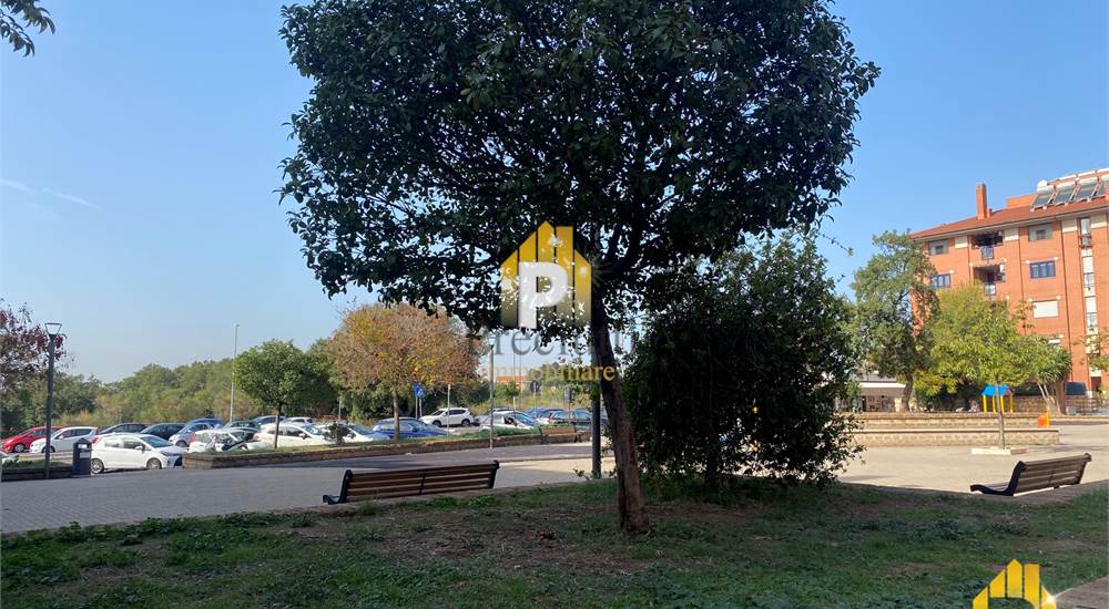 PIAZZA