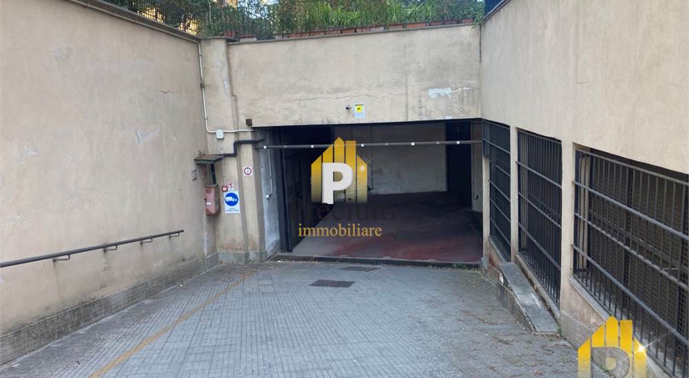 INGRESSO CARRABILE