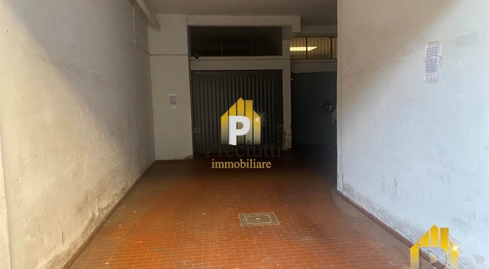 INGRESSO CARRABILE