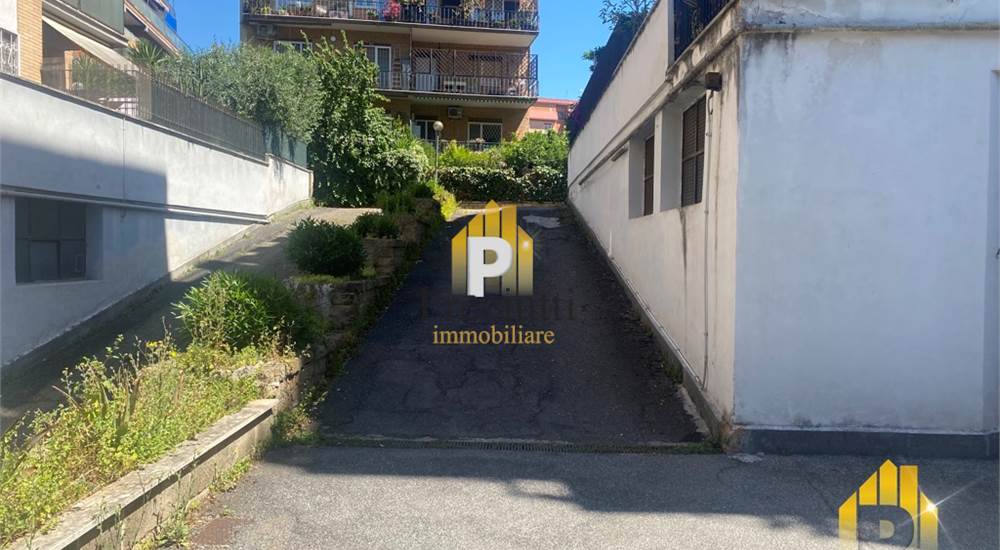 INGRESSO CARRABILE