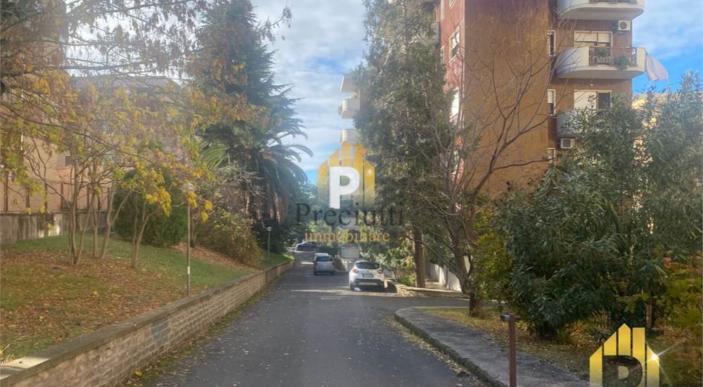 INGRESSO CARRABILE