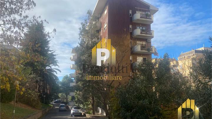 BRAVETTA LARGOGUIDI BOX IN VENDITA