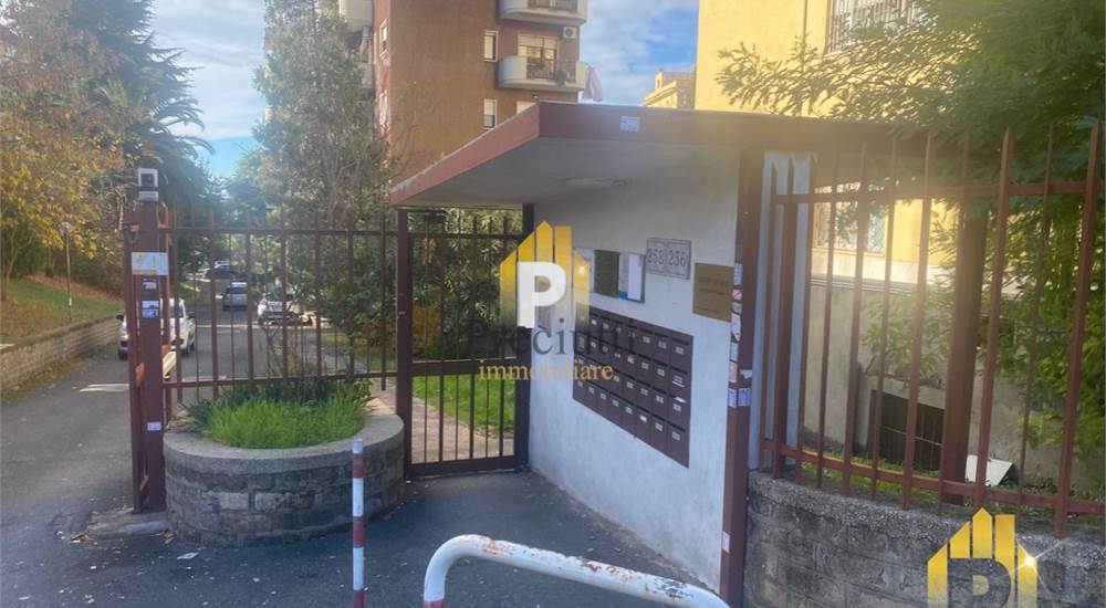 INGRESSO CARRABILE