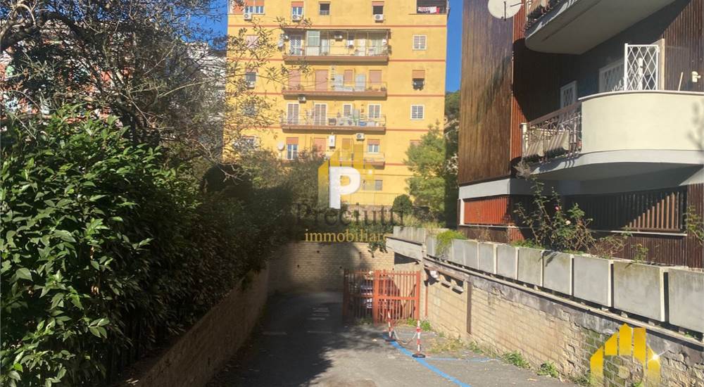 INGRESSO CARRABILE