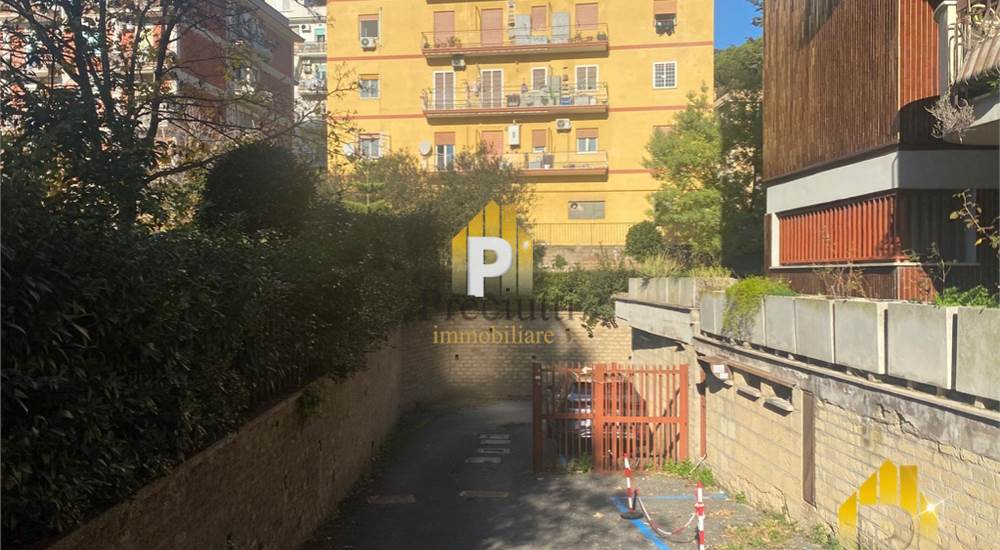 INGRESSO CARRABILE