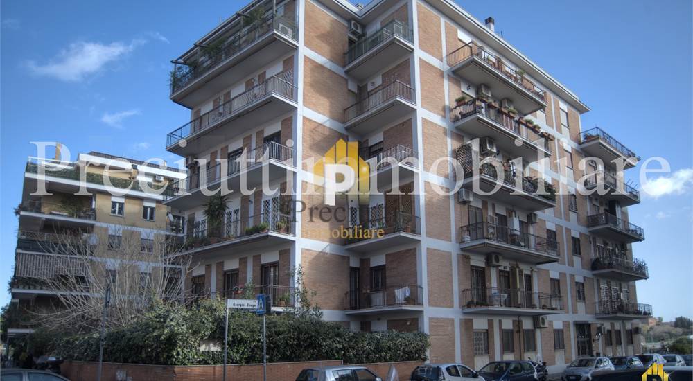 PALAZZO