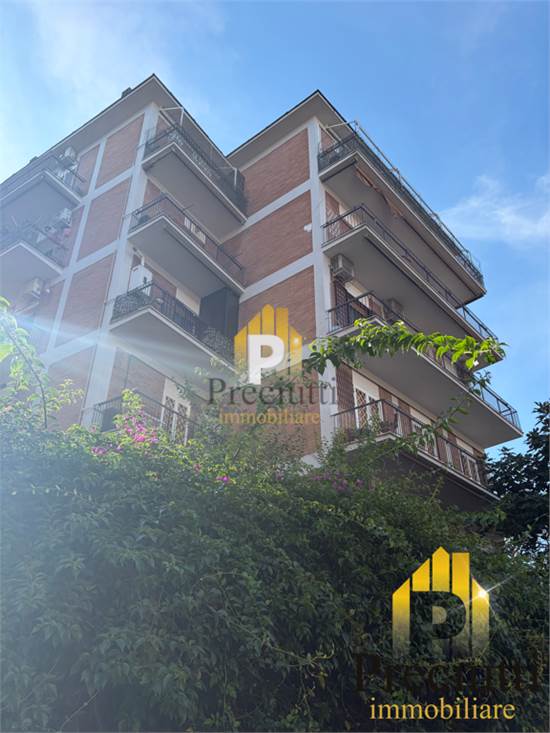 PALAZZO