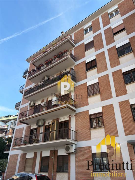 PALAZZO